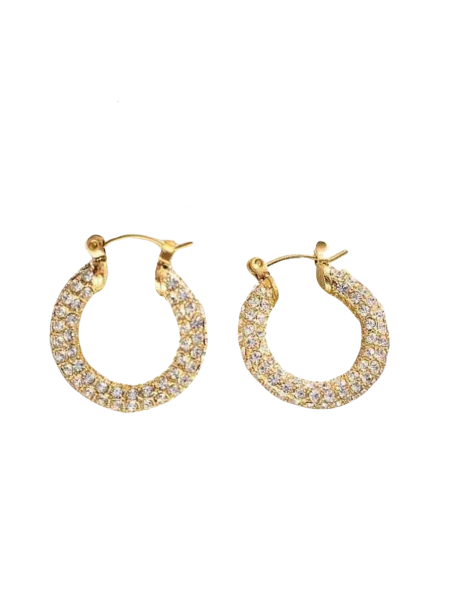 Mini Crystal Embellished Hoop Earrings