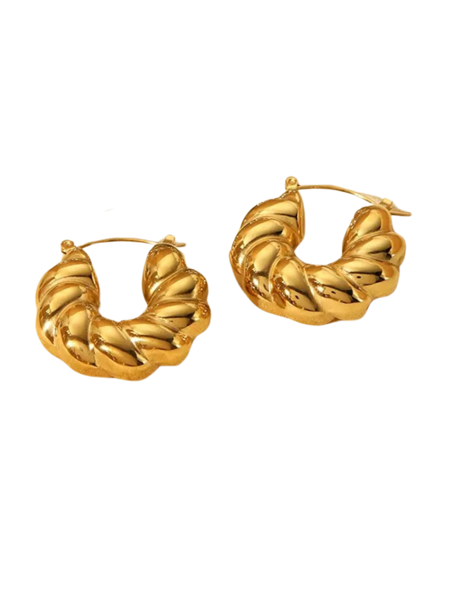Twisted Hoop Earrings